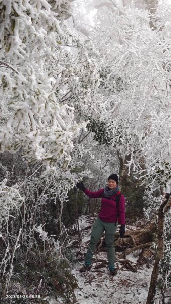 雪季北得拉曼2956475