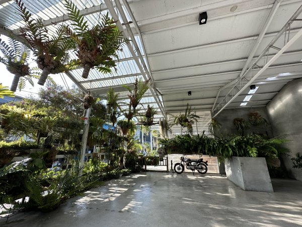 雲嘉十八連峰1932597