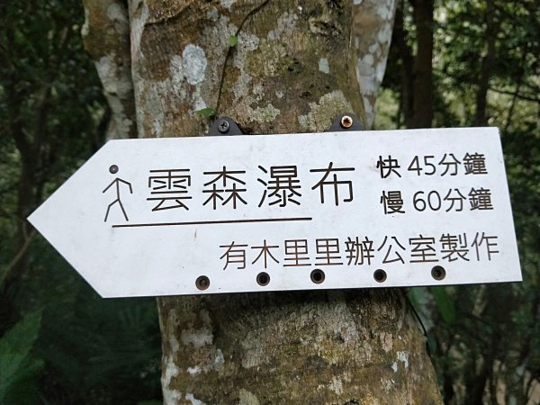 20201025 雲森瀑布，卡保山山毛櫸1145425