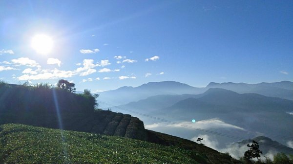 【巃頭-龍銀山天氣】阿里山日出私房秘境691540