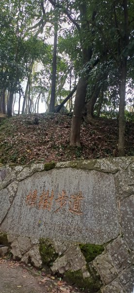 樟樹步道.台北文山3004154
