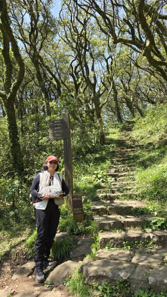 2025竹子湖海芋季美不勝收，最受歡迎的國家公園陽明山國家公園，親子皆宜，適合各式玩家2747610