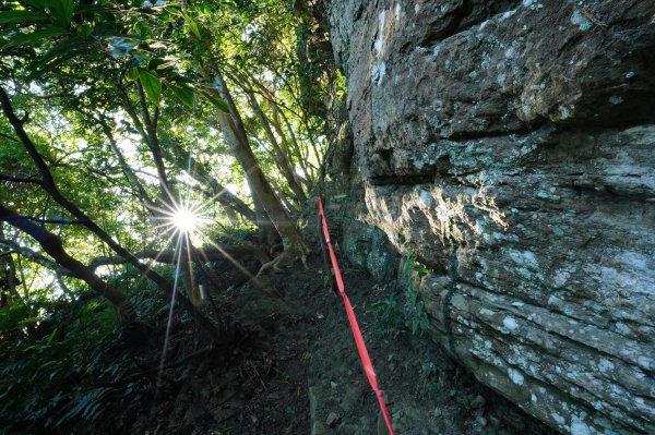 新北 三峽 金敏子山、詩朗山、塞口坑山、內金敏山2565612