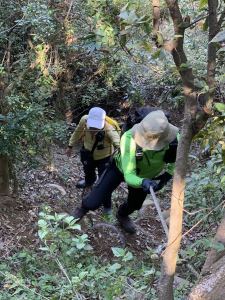 20250322南投松柏坑山-大棚山2745843