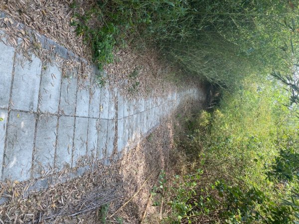 苗栗頭份-老崎古道2628328