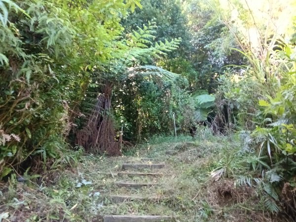 基隆市外西勢坑山+暖暖砲台+福基煤礦遺址O型2907976