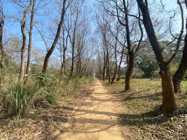 苗栗頭份-老崎古道2628339