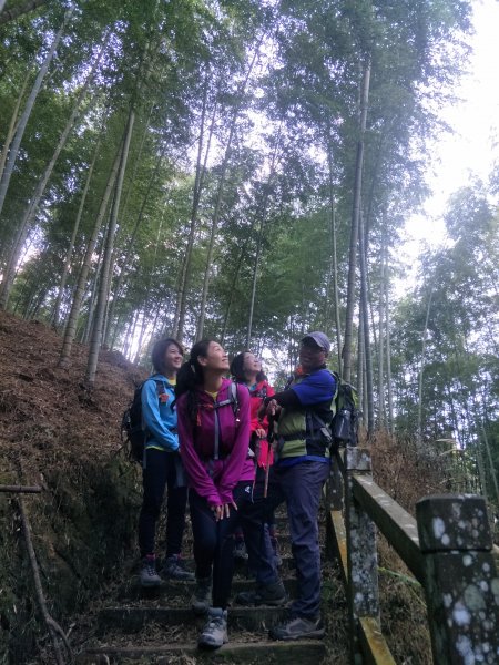 20181204嘉南雲峰、石壁山登山步道473365