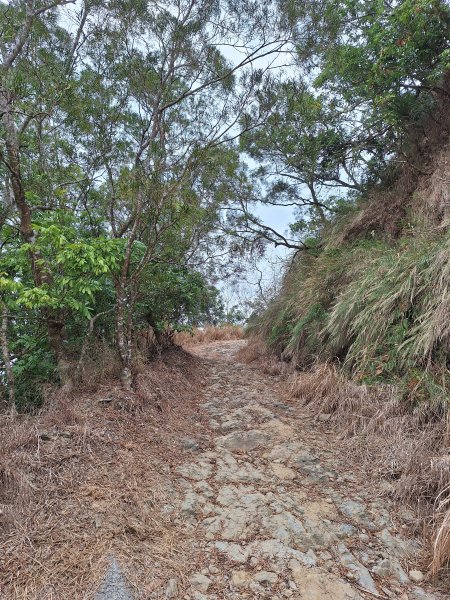 烏山嶺水利古道+鳥子嶺O型2967444