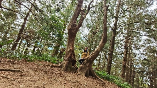 肥大醜三崠連走，鳶嘴西陵上鳶嘴山2650327