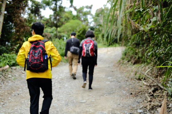 【高雄-小百岳】藤枝山771100