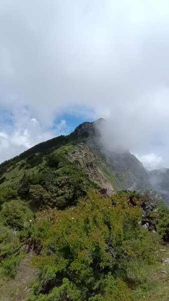 南橫F4之關山/庫哈諾辛山1747926