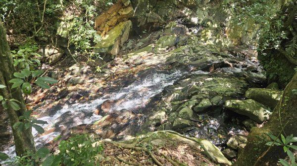 20250820金童玉女月牙天沖(金童嶺-玉女嶺-女王尖-月牙嶺-瑞光嶺-明月崙-清淨嶺-文筆嶺-清2872758