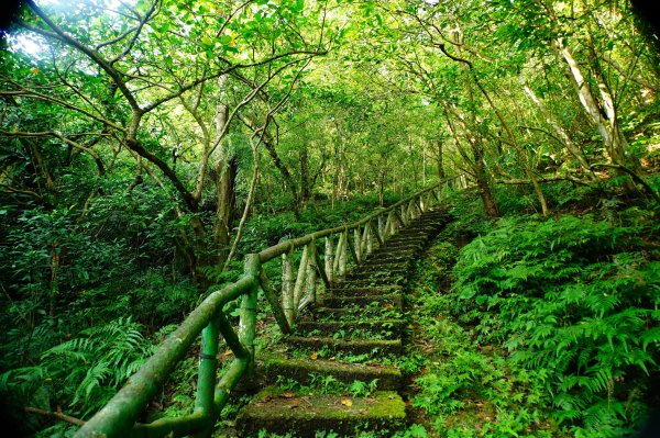 新北 雙溪 蝙蝠山、梅竹蹊山3079896