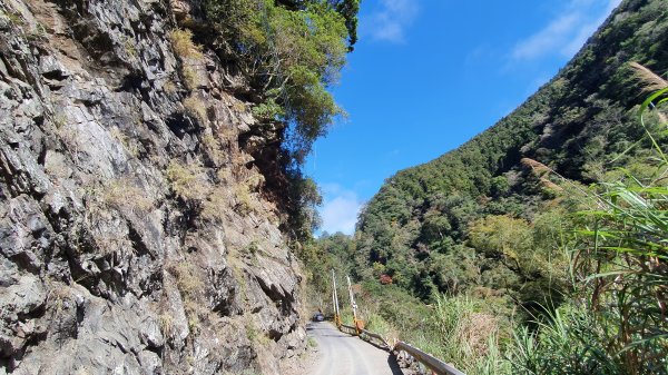 【新聞】大鹿林道8K+300邊坡施工 將進行交通管制作業