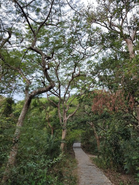 2023.12.24 高雄壽山2835309