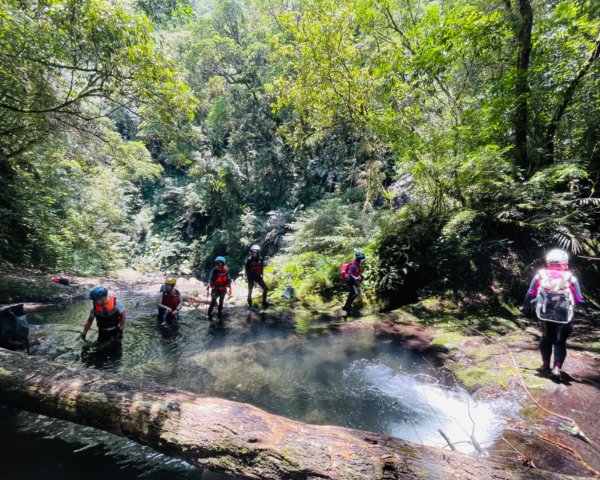 坪林-碧湖溪-蛋糕瀑布群（溯溪）2820911