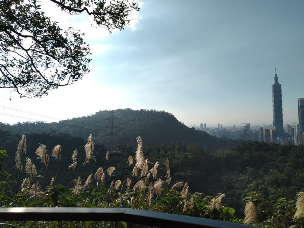 四獸山=象+豹+虎+獅1070468