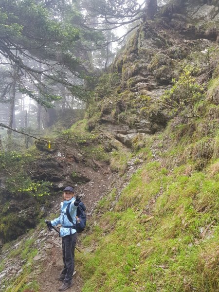 畢羊縱走-畢祿山羊頭山（百岳×9、10）1000557