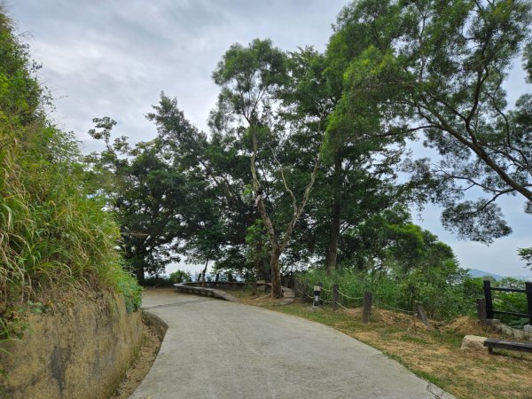 大社觀音山十三連峰環形2924400