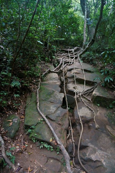 五寮尖登山步道1383242