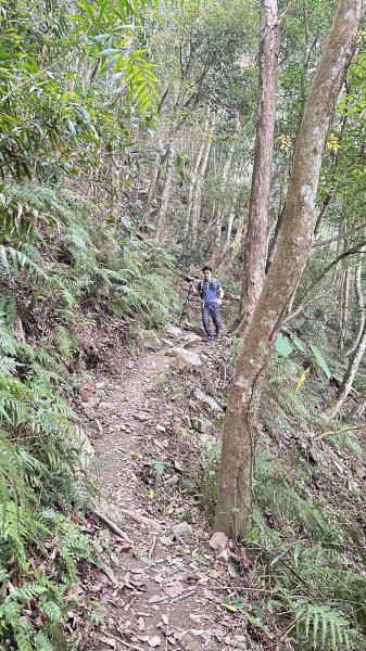 崩潰陡上的水雲三星～鳥嘴山（上島山）2095313