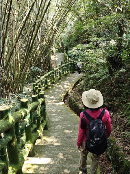 2026-0221造鎮-太極嶺-桐花公園-承天禪寺-永寧站3005819