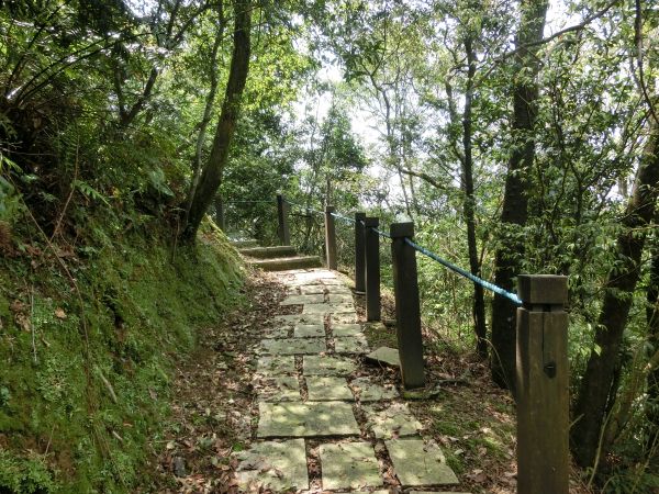 平湖森林步道．內平林山109381