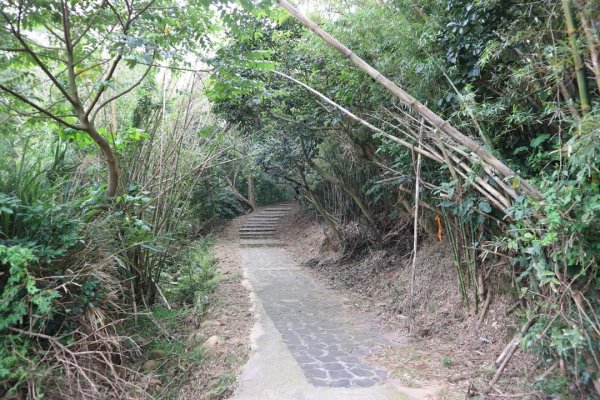 〔湖口〕漢卿 萬年 仁和 金獅 秀才 萬庚道 。白沙岬燈塔〔 苗栗〕虎頭山通宵神社 新豐 紅樹林2130575