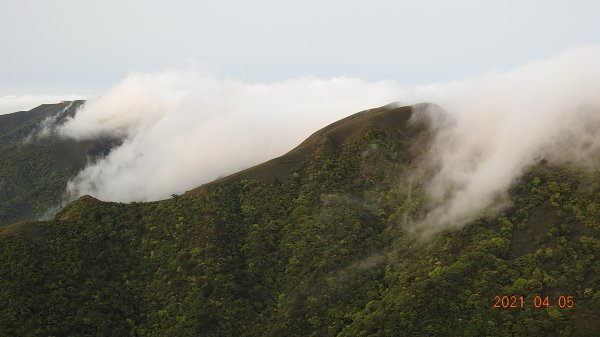 0405陽明山再見雲瀑，今年以來最滿意的一次1335477