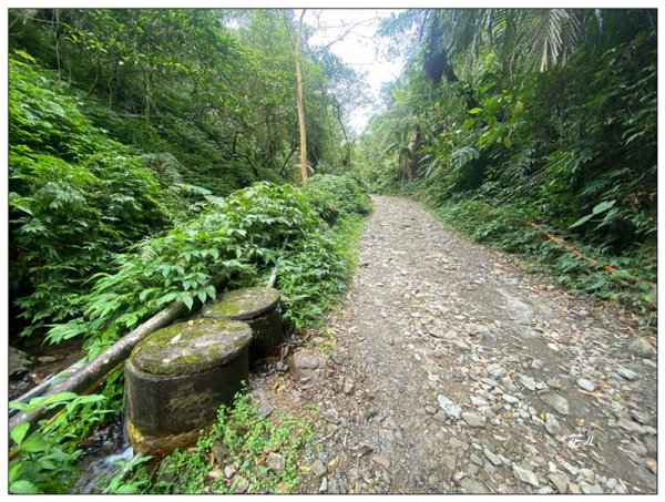 冷埤、粗坑山、血藤之旅3020363