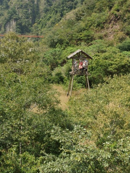 谷關養生旅555287