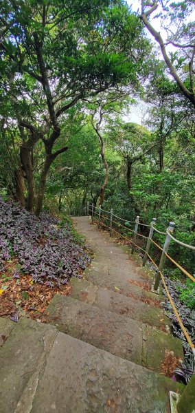 2024-06-15觀音山【福隆山、尖山(占山)登山步道】O走2528227