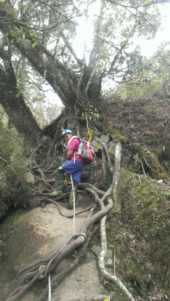 20160404苗栗加里山(二坪山入口)34216
