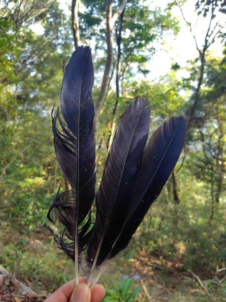 守關山南峰 守關山 守城大山2919131