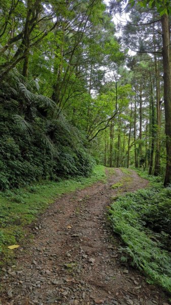 113.06.22坪溪古道-石坑山之旅2533778