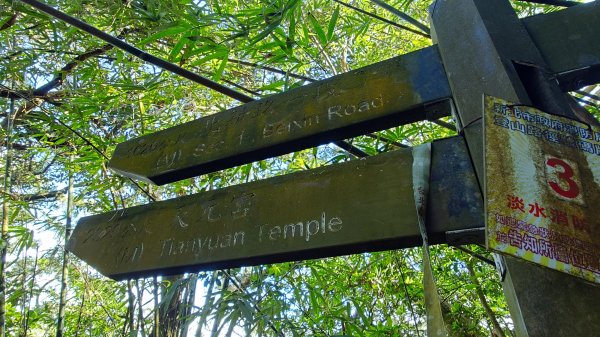 20260125 陽明山前後山健行(無極天元宮~山仔頂步道.向天池.向天山.面天山.二子坪)2997959