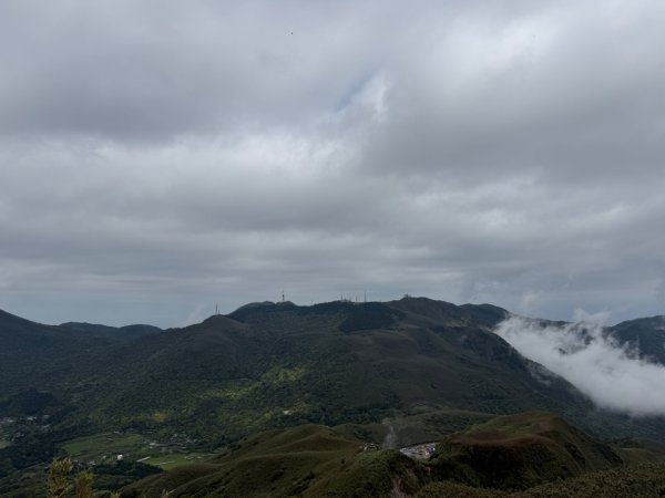 1150403塔曼山3033164