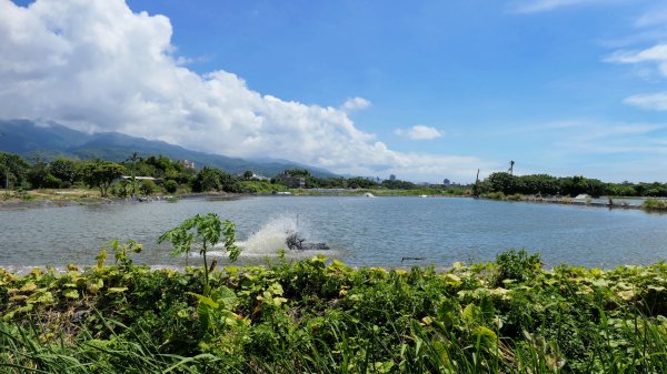 頭城綠色隧道,八角瞭望台2549360