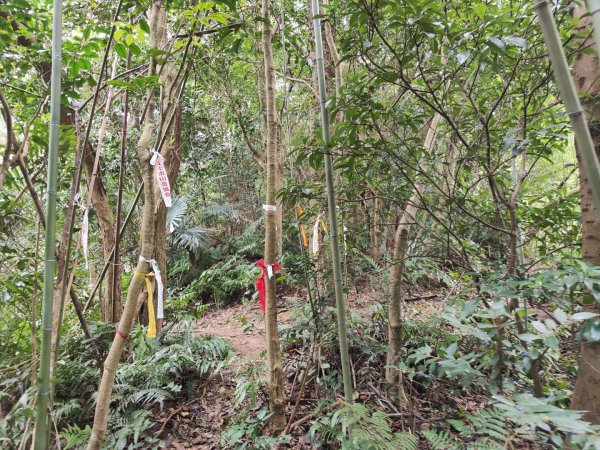 2023.12.27 大溪金面山2839313