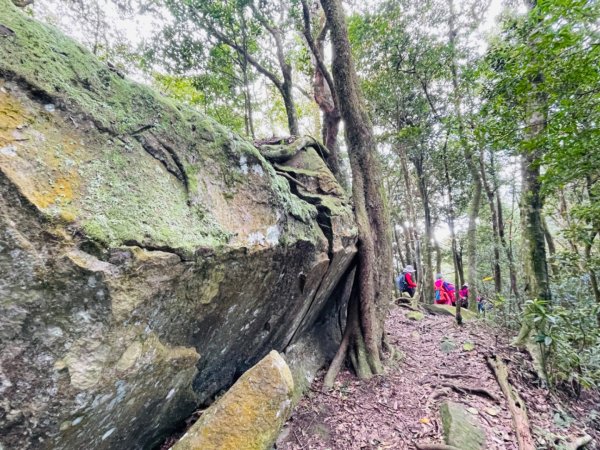 1140319仙山-仙山南峰2738261