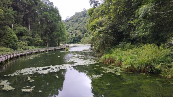 福山植物園1091020