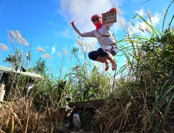 20260104源茂山.源茂山西峰.和尚髻山O走+親水觀魚步道2977705