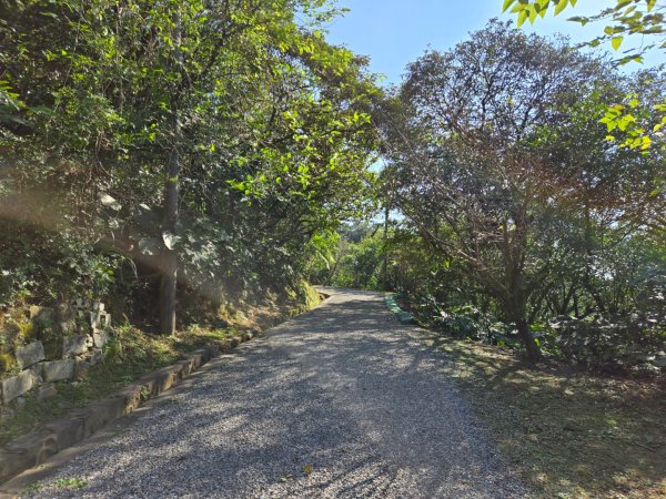 槓子寮砲台、槓子寮山步道（龍崗步道）（小百岳）2702012