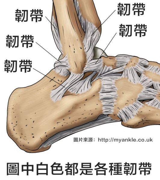 【登山醫學】腳踝扭傷後韌帶鬆掉會怎樣嗎？