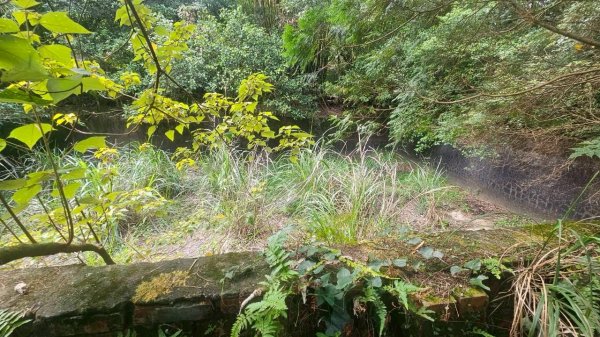20251011七股山-七股山東北稜-七股山北峰-七股山東北峰-下七股西南-下七股-下七股東北-下七2910567