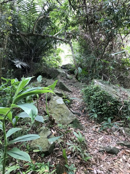 109年6月21日烏山紫竹寺-刣牛湖山1007521