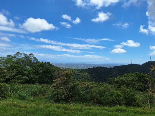 望龍埤三山O型202509272901713