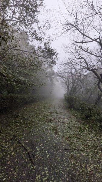 113.11.02颱風過後的二格山之行2641547