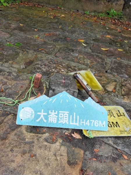 小百岳大崙頭山2246399